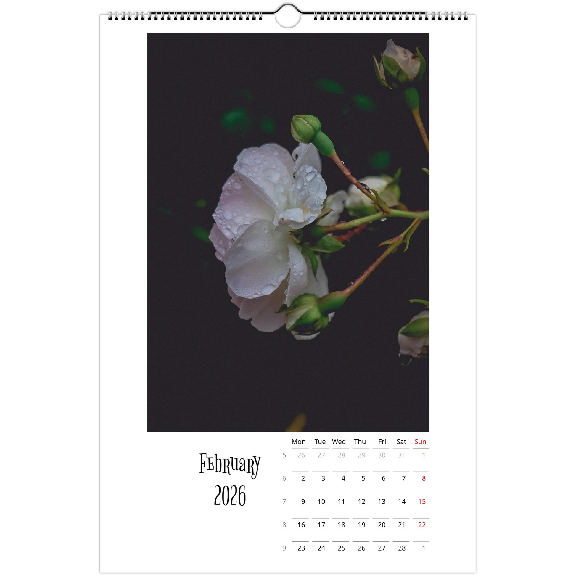 6daf0bd2-c7f0-479c-89df-8c6a07228fb5