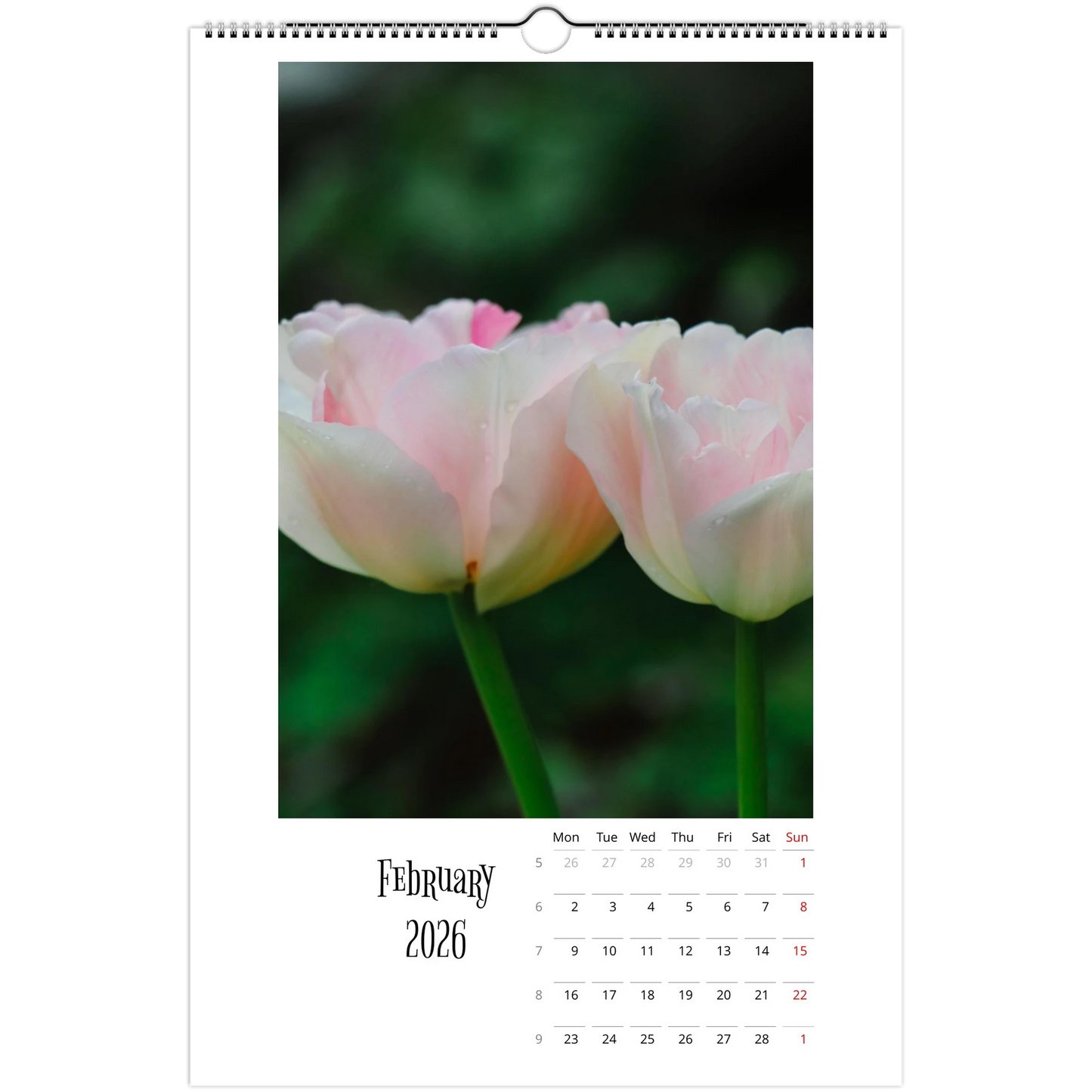 7176b9ca-da6e-4231-aea1-fc221b6ac8e4