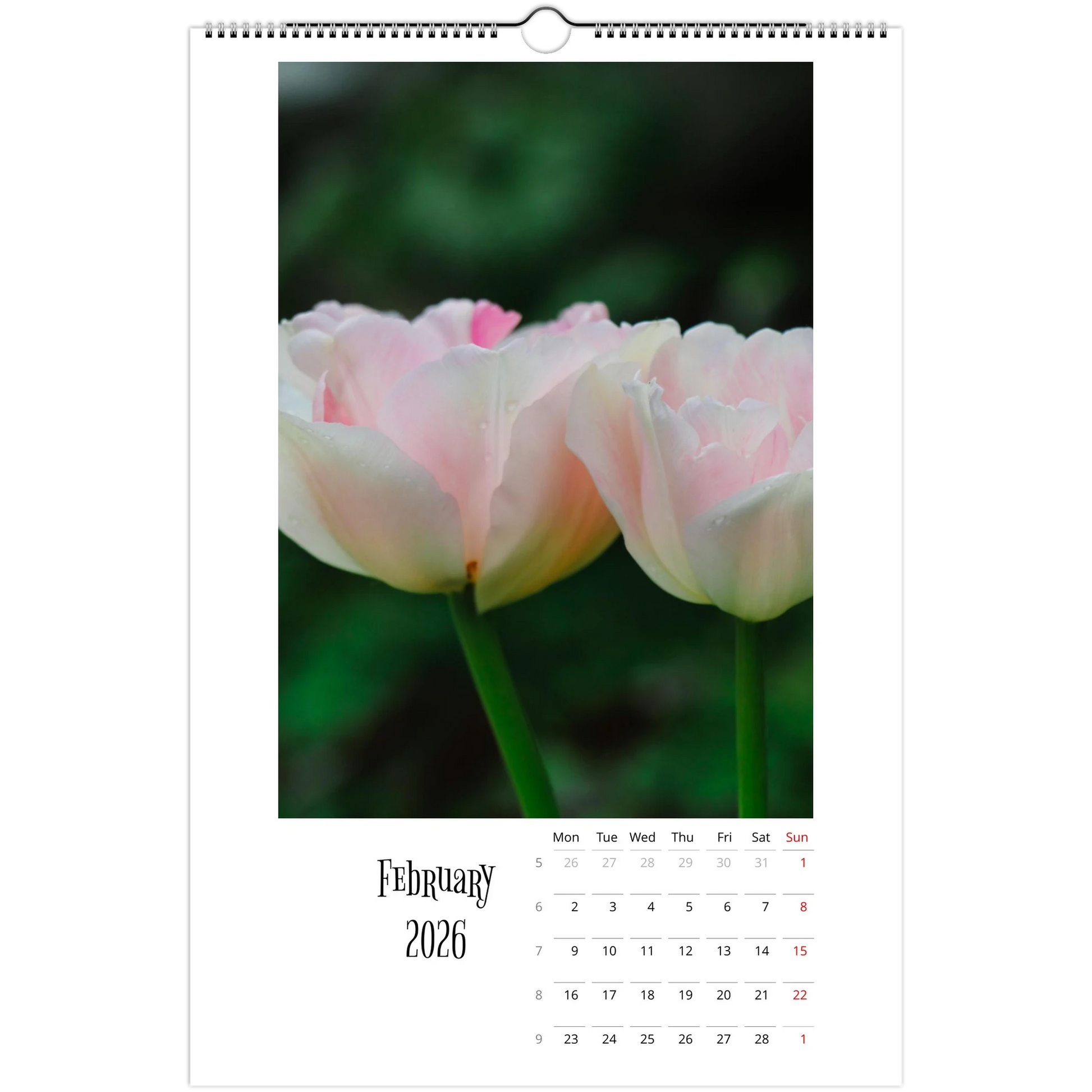 7176b9ca-da6e-4231-aea1-fc221b6ac8e4