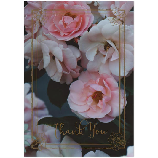 71ab00c3-7020-49e1-aafa-e57c4ebc2a0b