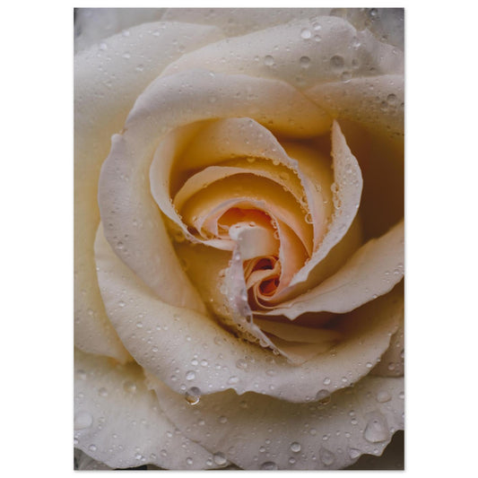 743b6f1e-d838-4f3d-b56d-7da3bb1bf941