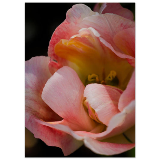 7452b833-c212-4def-84e3-5395b1c2f8d6