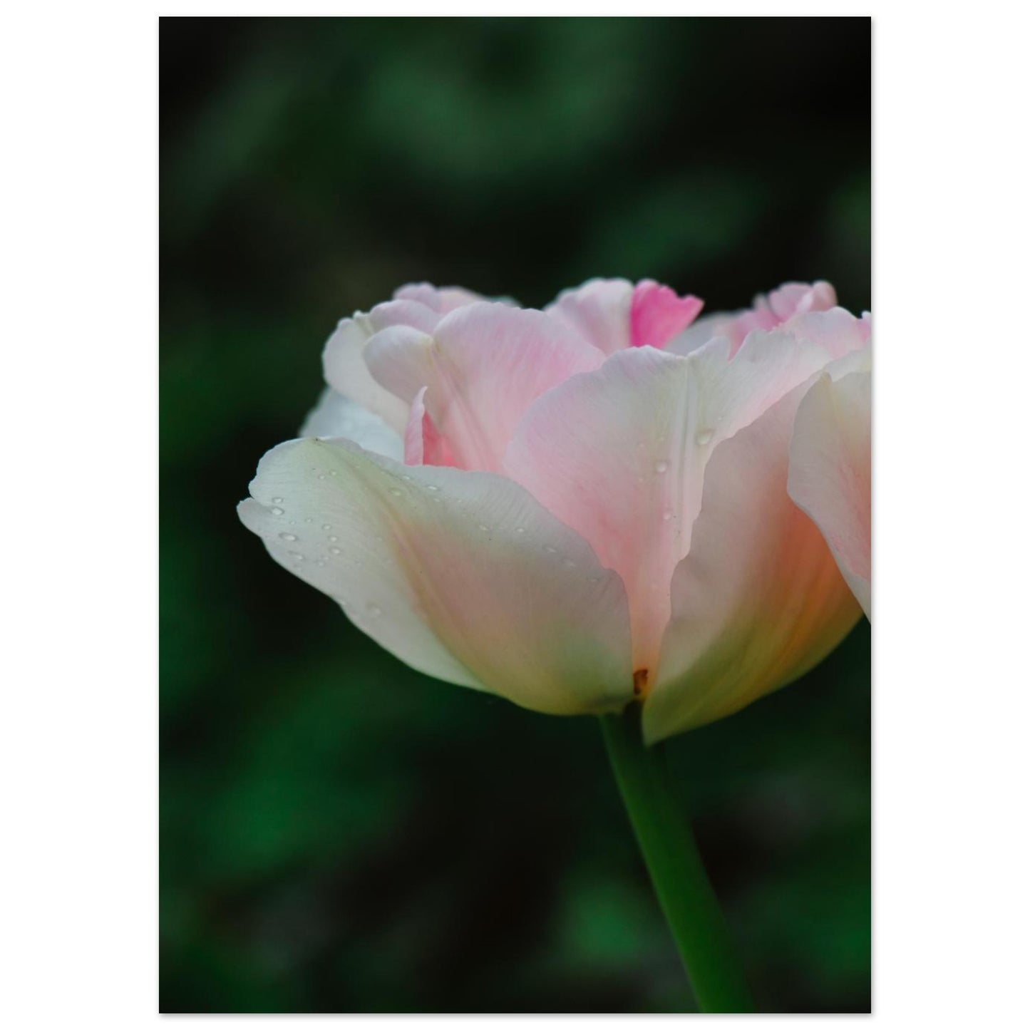 74949d0b-4279-437c-be67-19e75ea3fb8b