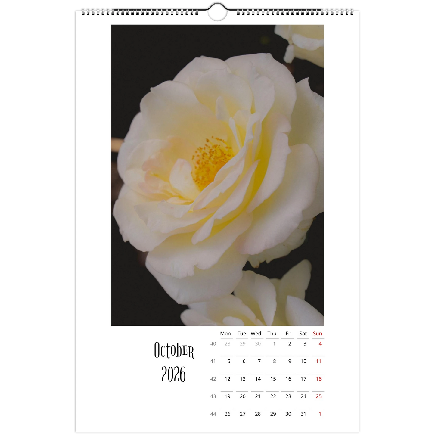 7644a704-7a2e-43df-87ef-284763c21ac7