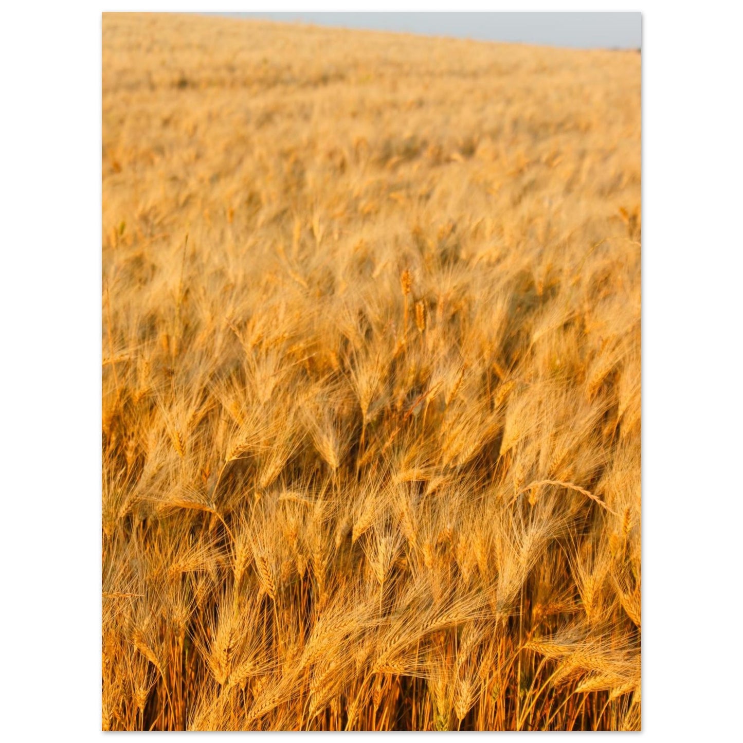 777b8a55-a981-48d3-8e29-a8ac0928e1dc