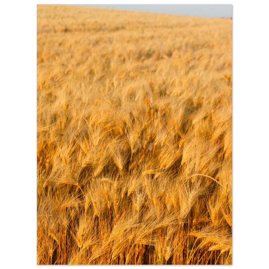 777b8a55-a981-48d3-8e29-a8ac0928e1dc