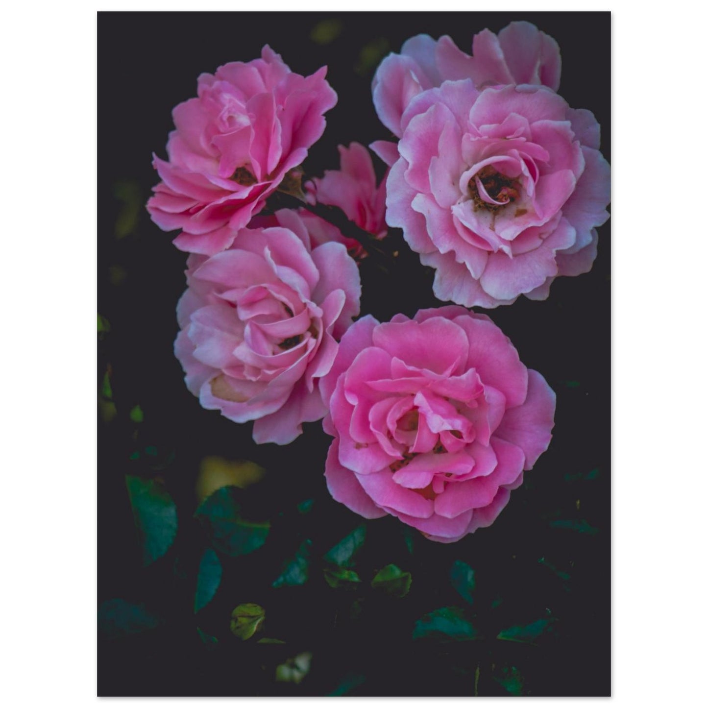 77e49c59-3db6-408f-ae1b-6d56970e9e9e