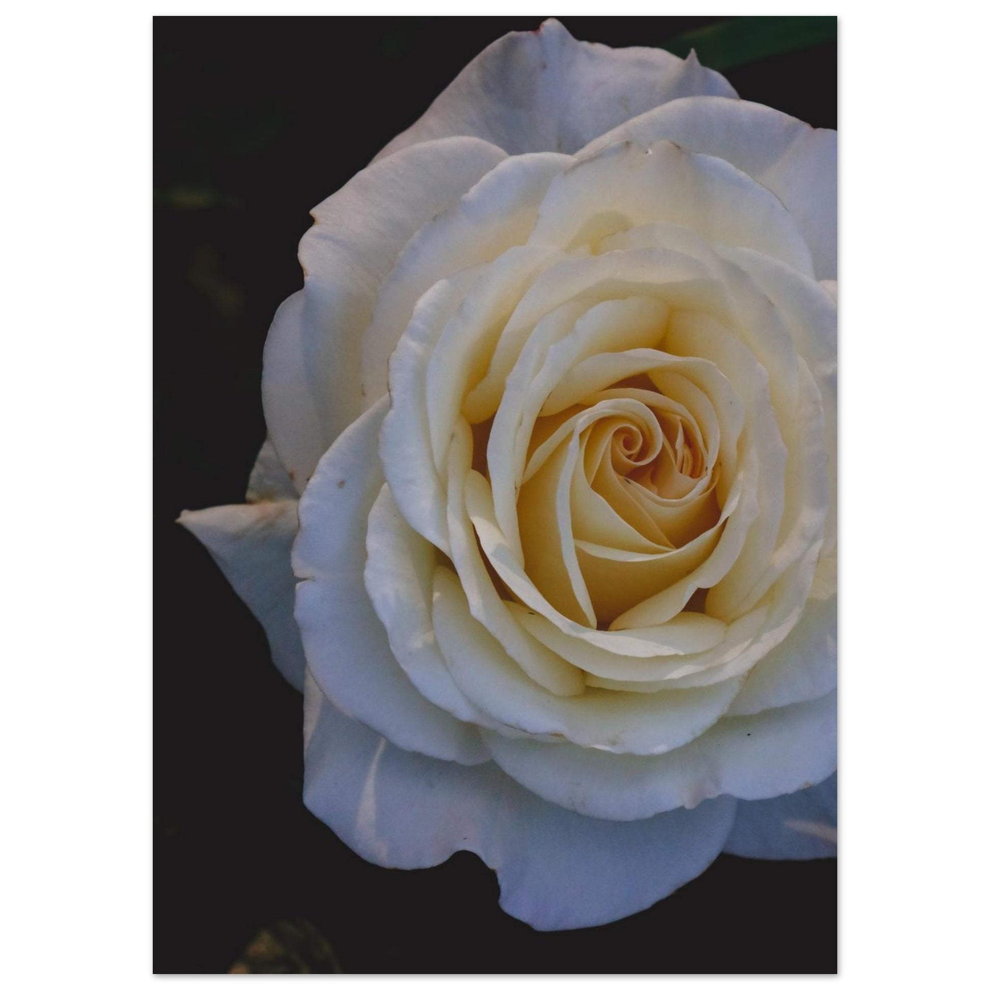 7cfccccf-f68e-43f3-bfbc-68a9485785aa