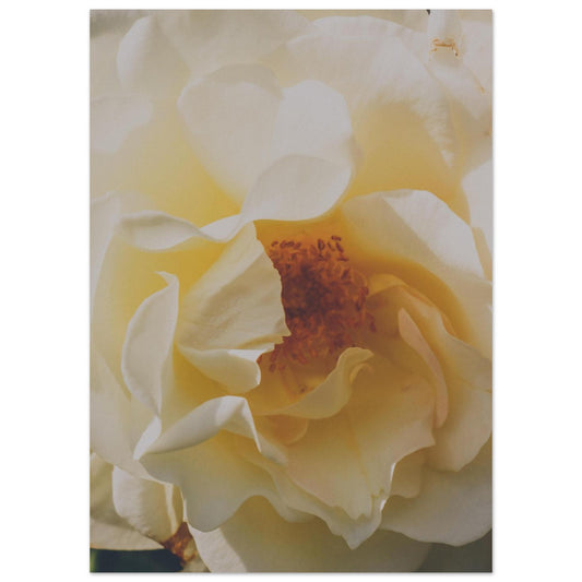 7f30fa94-2322-4419-b8de-fadd31a75eba