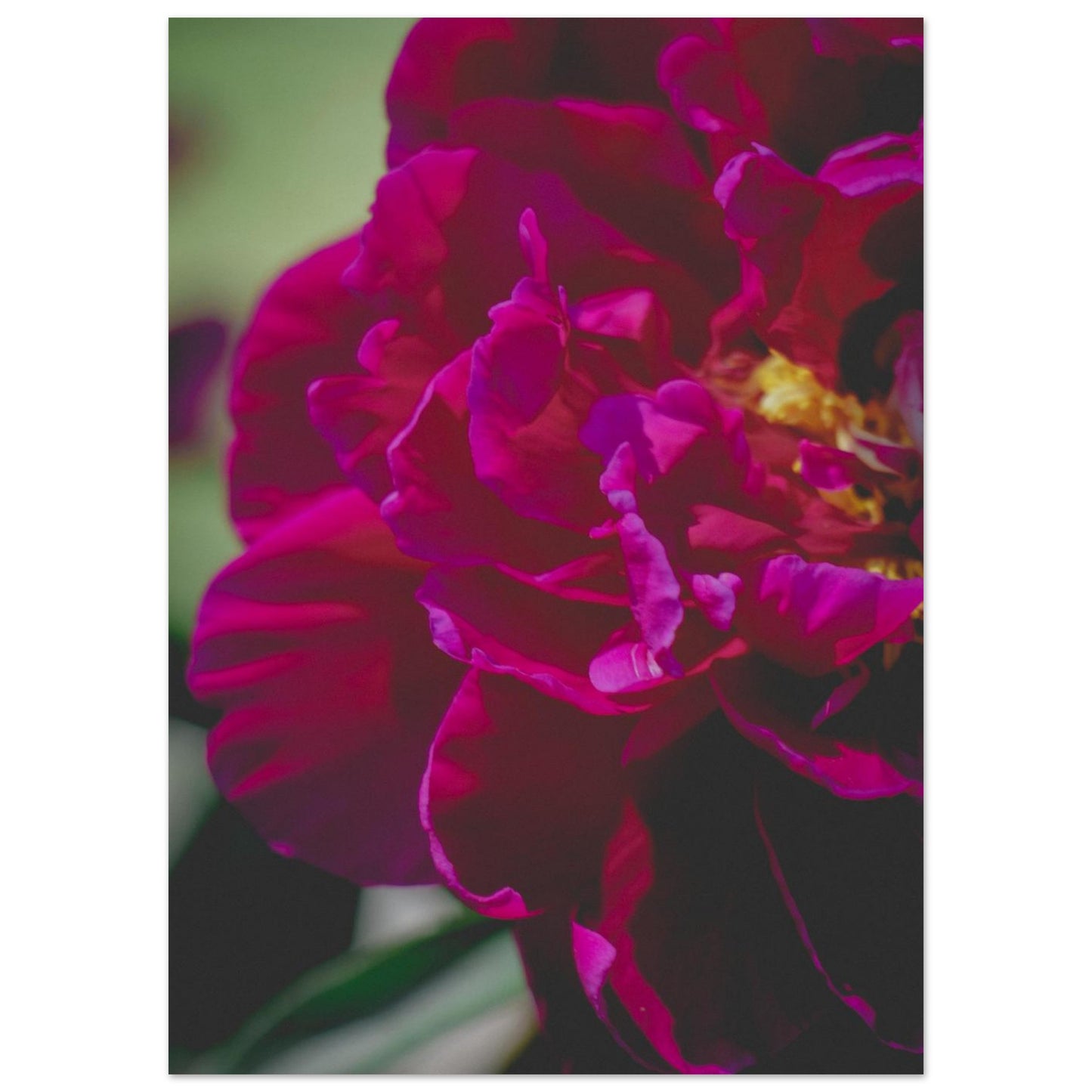 7fa8d3e4-2137-467f-9b58-e35abf4096f0