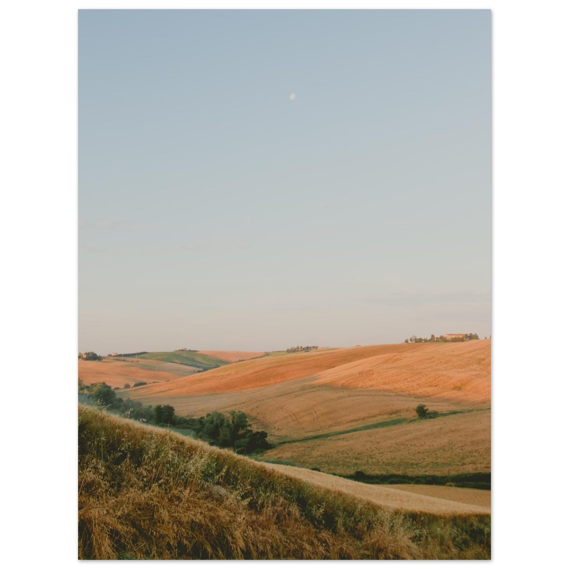 804a229a-27c6-4cd6-81e3-bb68da3adc5f