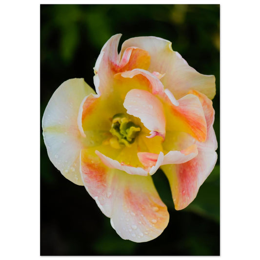 80ac6840-d36e-4dbd-8fba-7206c517064c