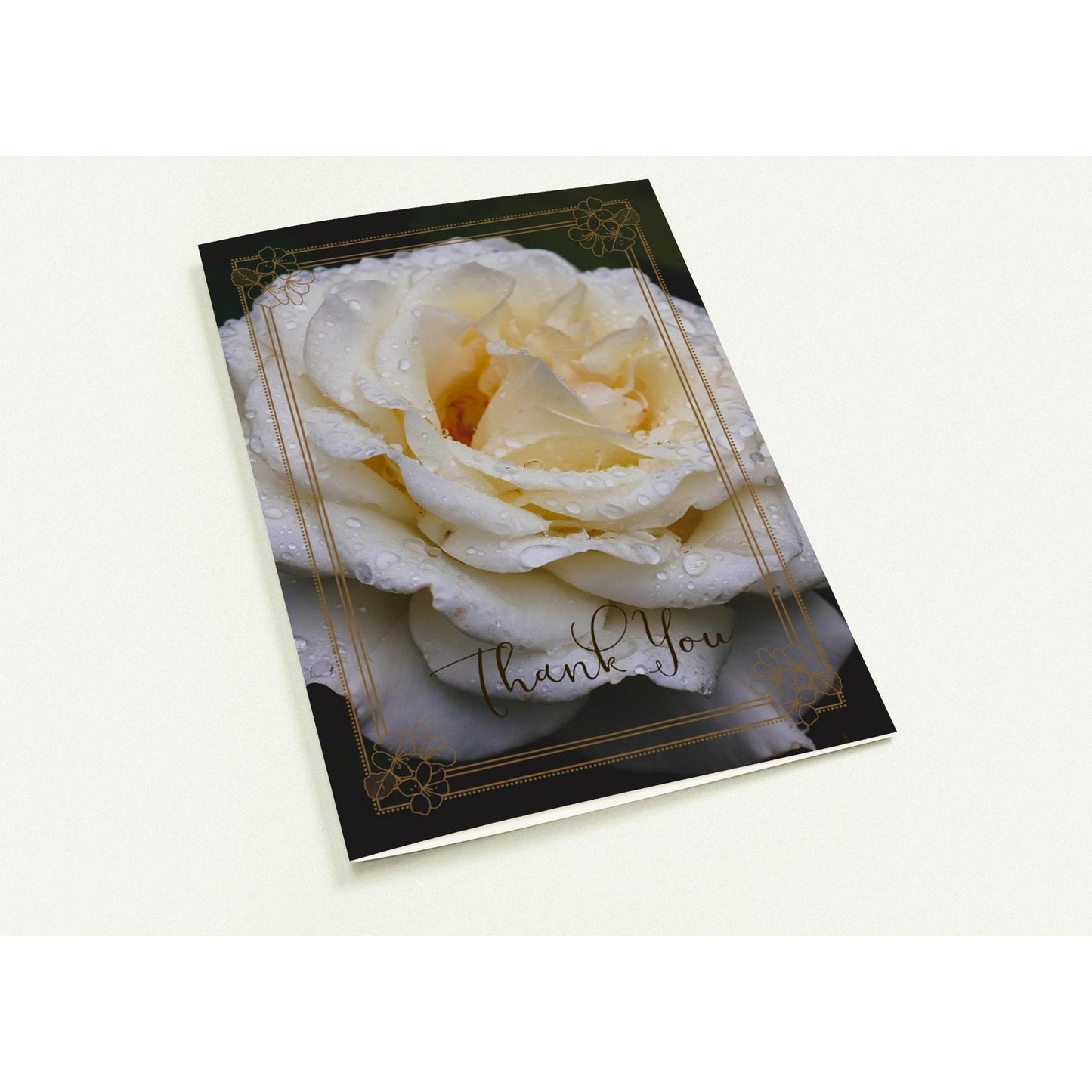 80ddc2ea-705c-41dd-8eb1-f7fde62651f3