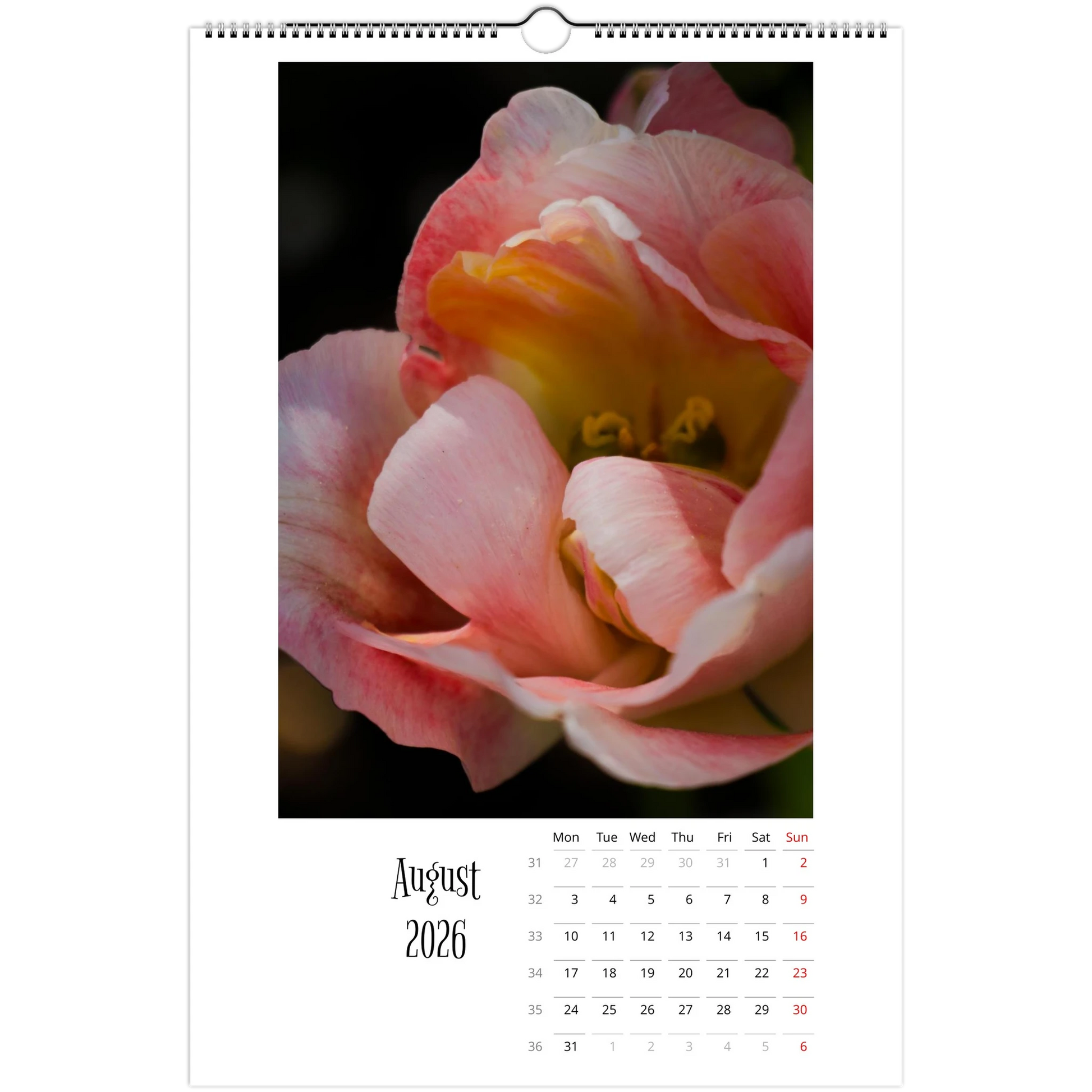 80f4cfbe-7633-45b8-bb9e-854776665337