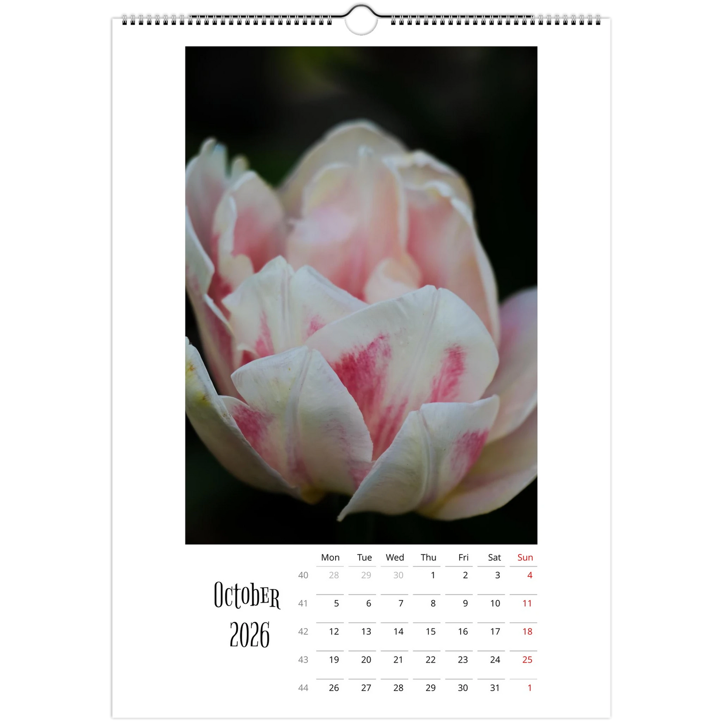 820ccd59-415b-4761-ac67-f42f141405cb