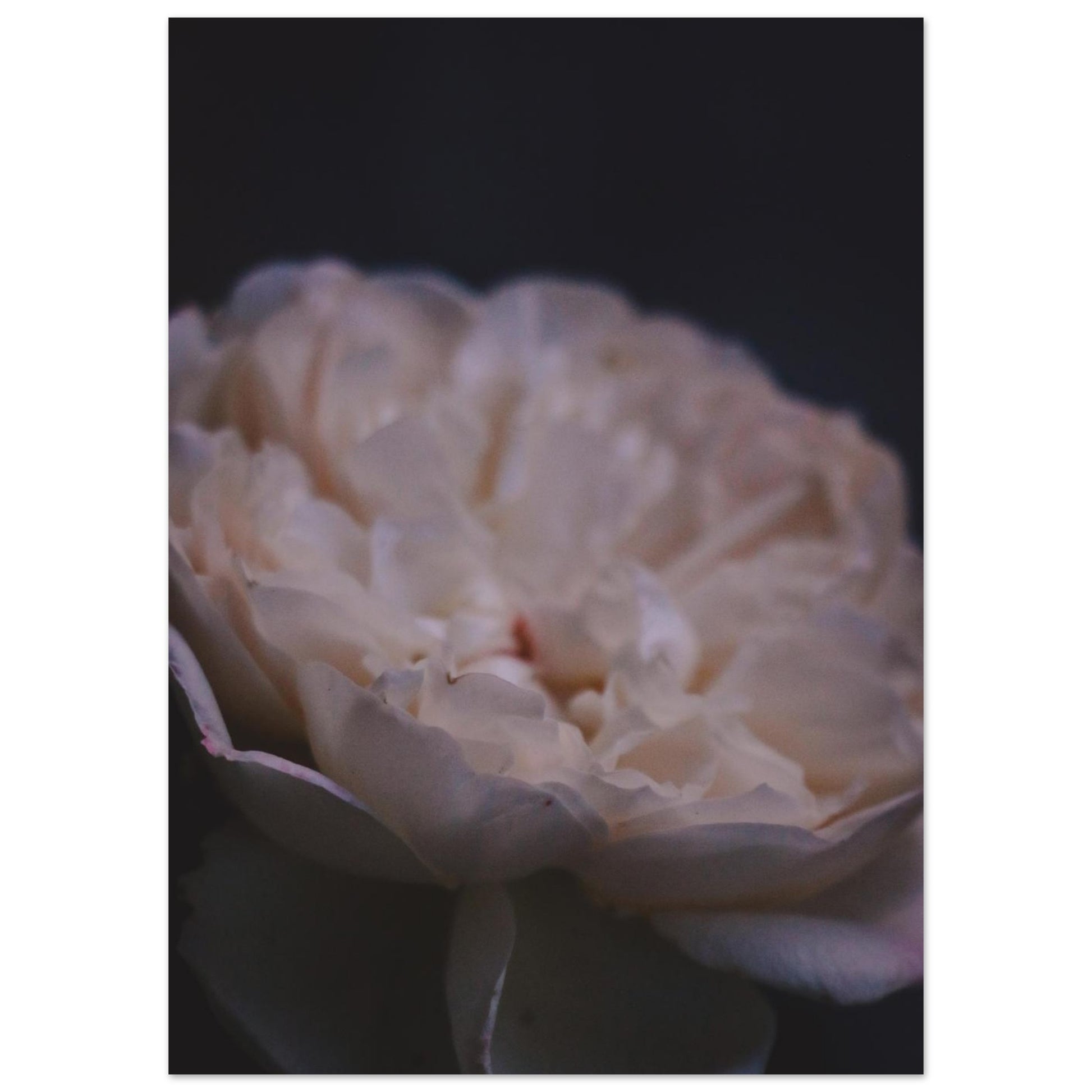 8414ed5e-b98b-41ae-b743-cafe85ecefc1