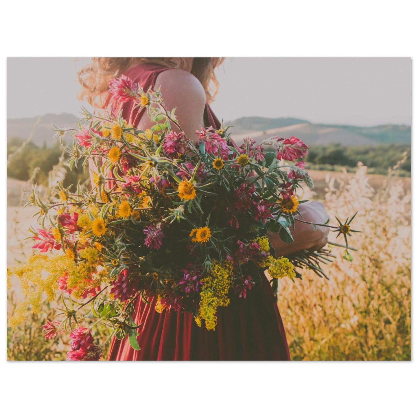 846e7377-b9e0-4307-88ef-1fa05232c7cd