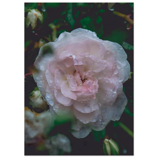 856cafd8-6828-4bf6-9e4c-47bc8b19b4ab