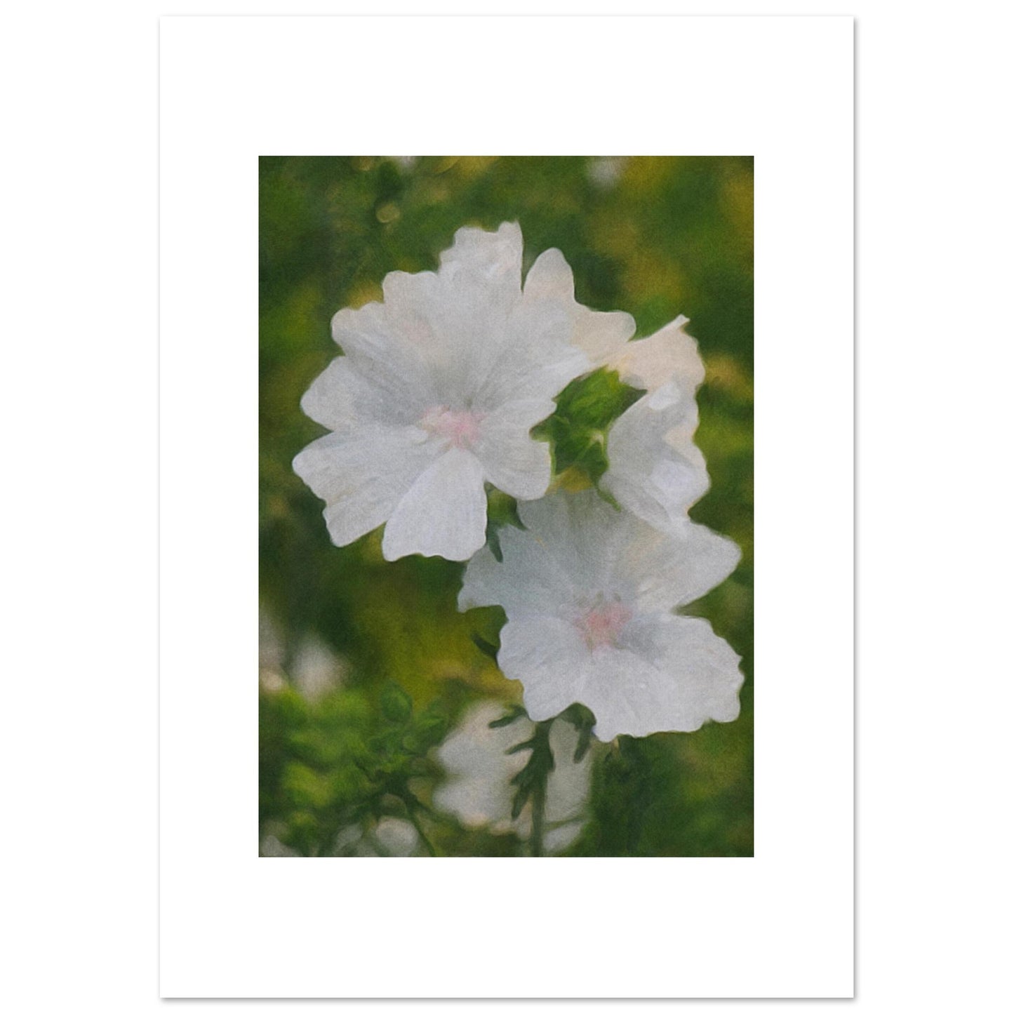 867d03ed-9cd9-4ab0-9282-a31c0f5821d8