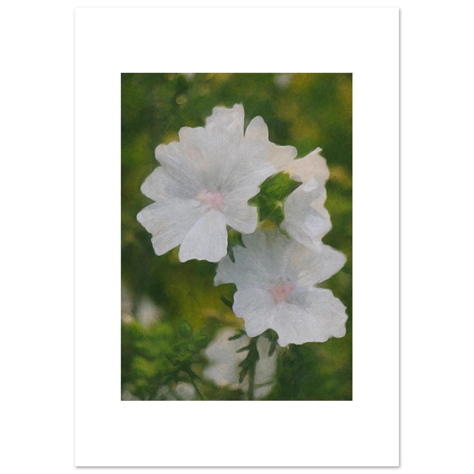 867d03ed-9cd9-4ab0-9282-a31c0f5821d8