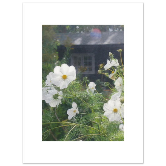 8a33829f-1230-4d12-b3bc-eb06320dfd66