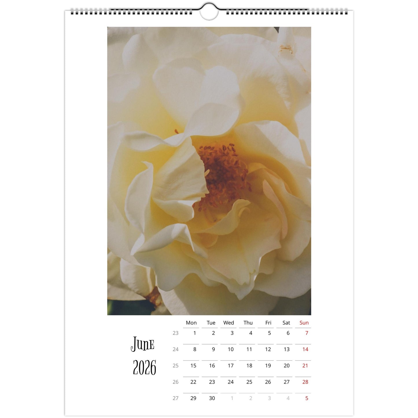 8ac565f6-9ed1-427e-9b3b-8c92f8f28eec