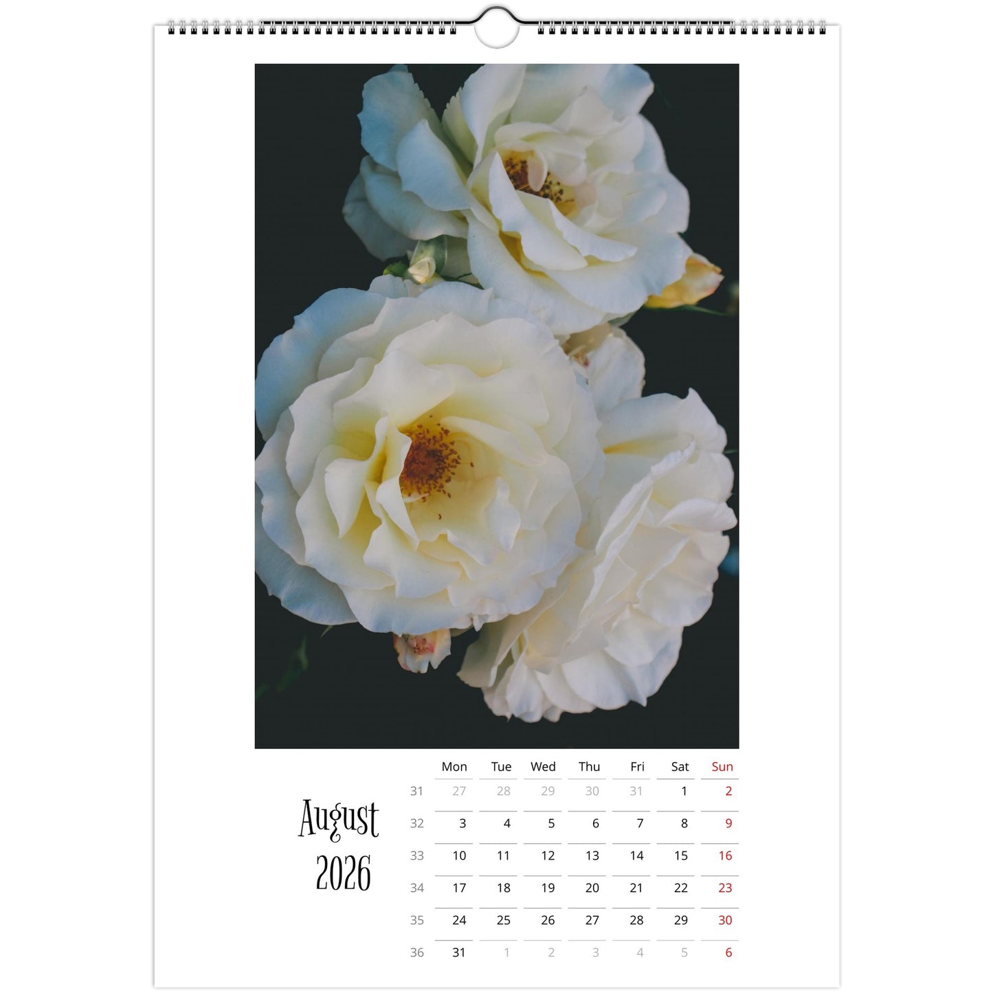 8da88a5e-4f02-4a7b-b8d1-aba6570f607e