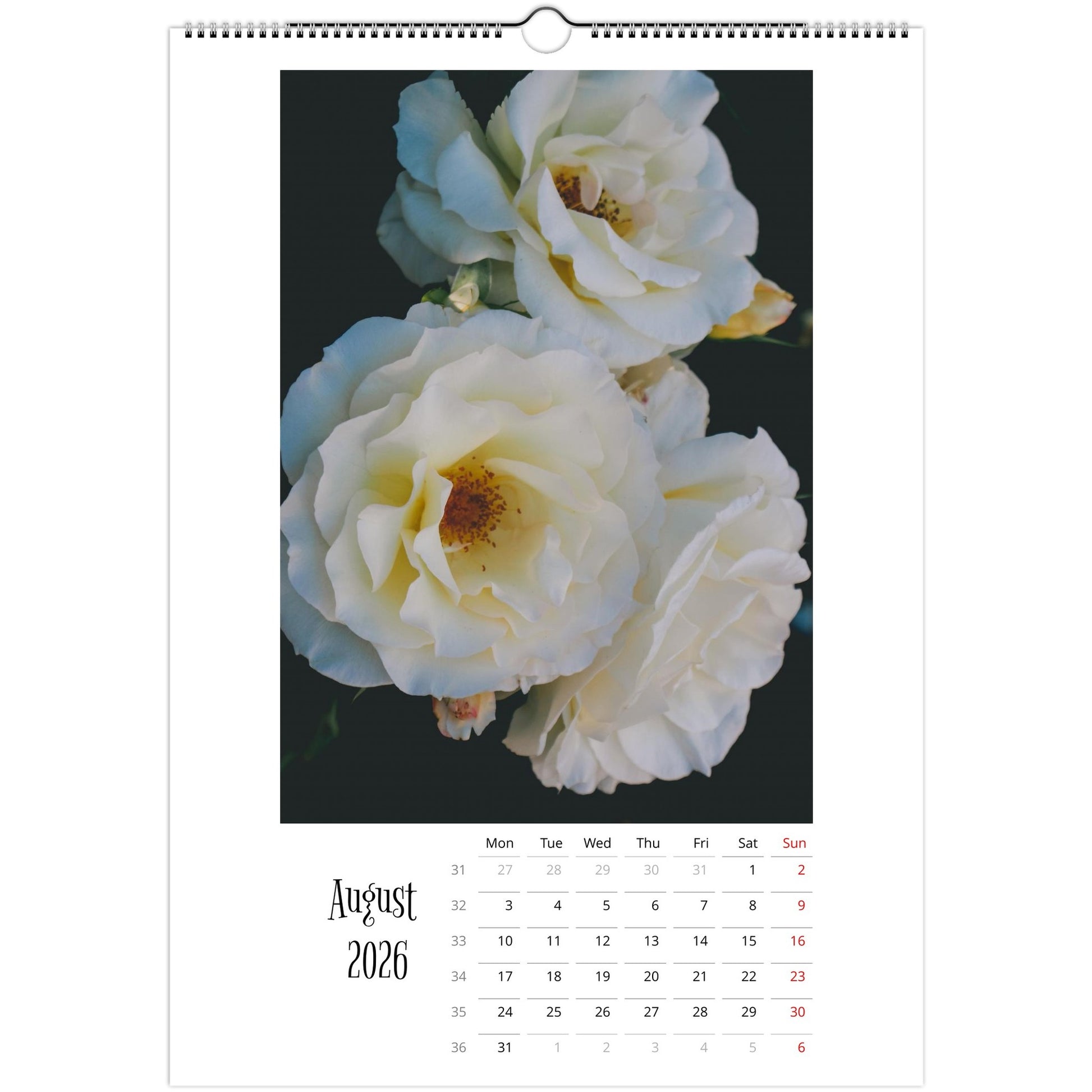 8da88a5e-4f02-4a7b-b8d1-aba6570f607e