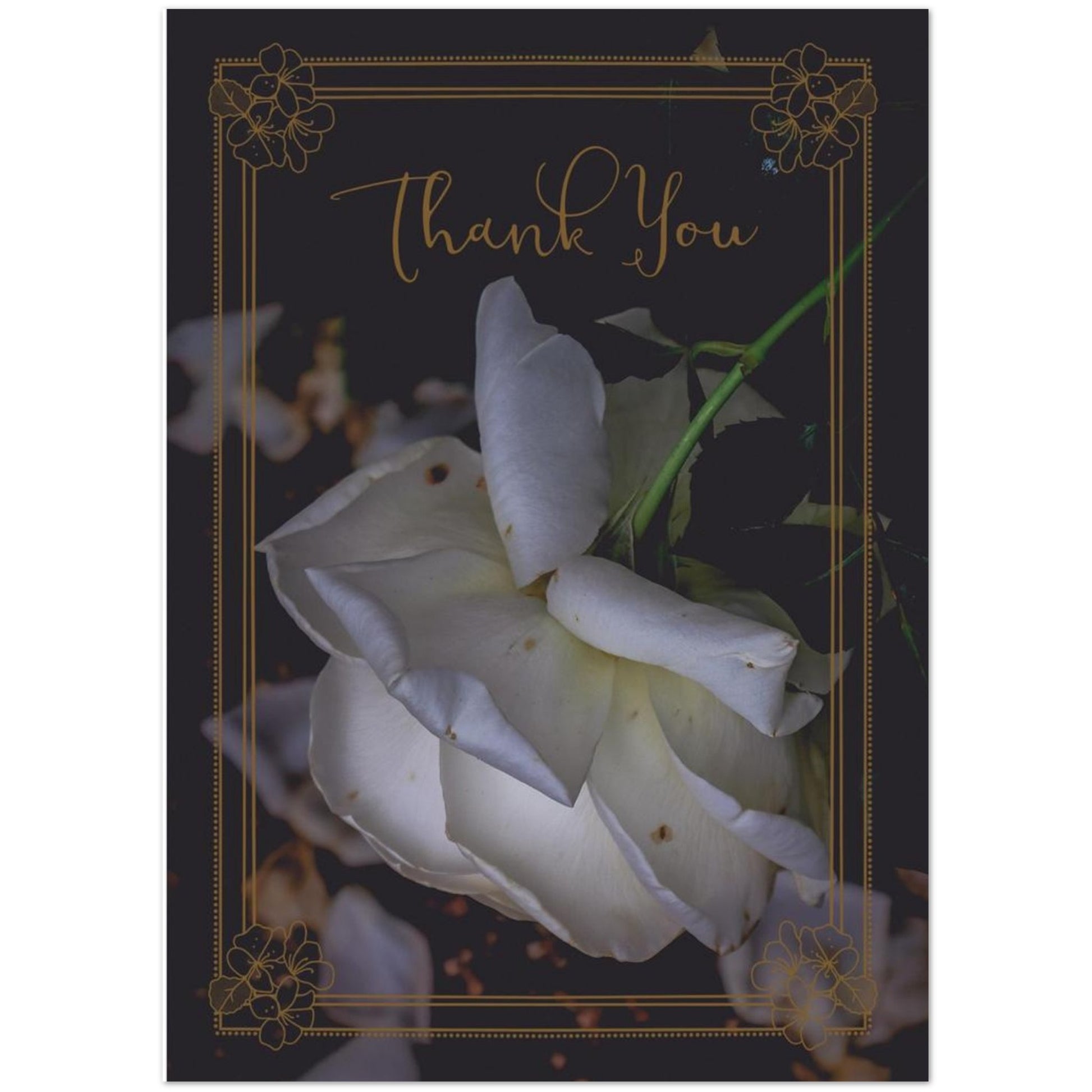 8e393c4c-c789-48f5-bf7d-978f95ed0e4c