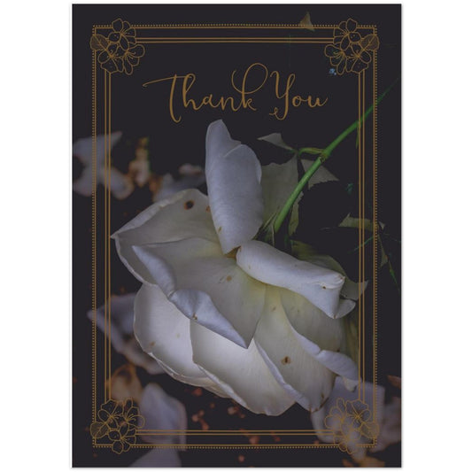 8e393c4c-c789-48f5-bf7d-978f95ed0e4c