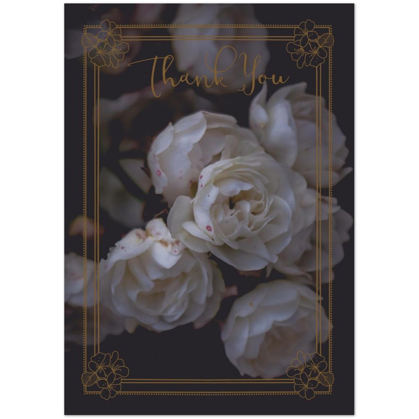 8eb7b009-2e76-4783-ad9d-6d46220dbc21