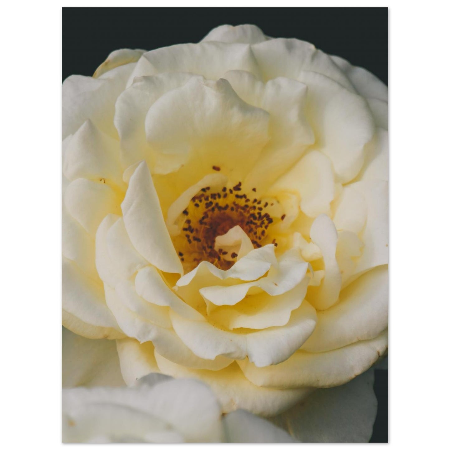 8fd07dbd-4506-4201-8a1c-cbc2f877de07