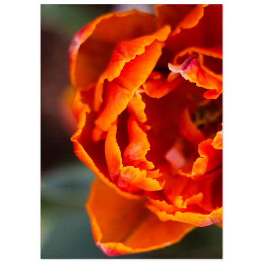 908d415a-477b-422f-b135-f1e6bb35151f