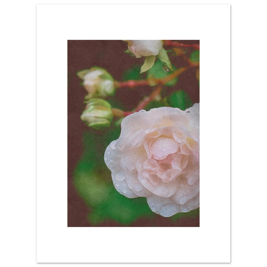 9113ccd6-9501-4ac2-bc0c-8577d7a80e7c