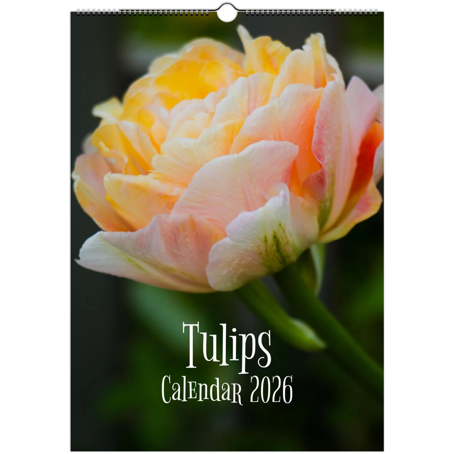 9243d5bf-03c1-4378-949d-956fecd21f44