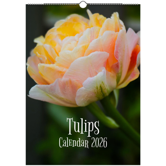 9243d5bf-03c1-4378-949d-956fecd21f44