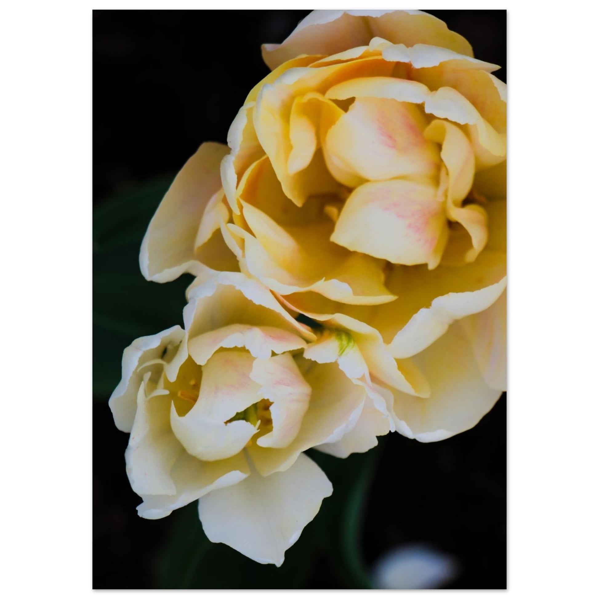 9270f3f6-4f40-4186-98d7-2a712d6c1550