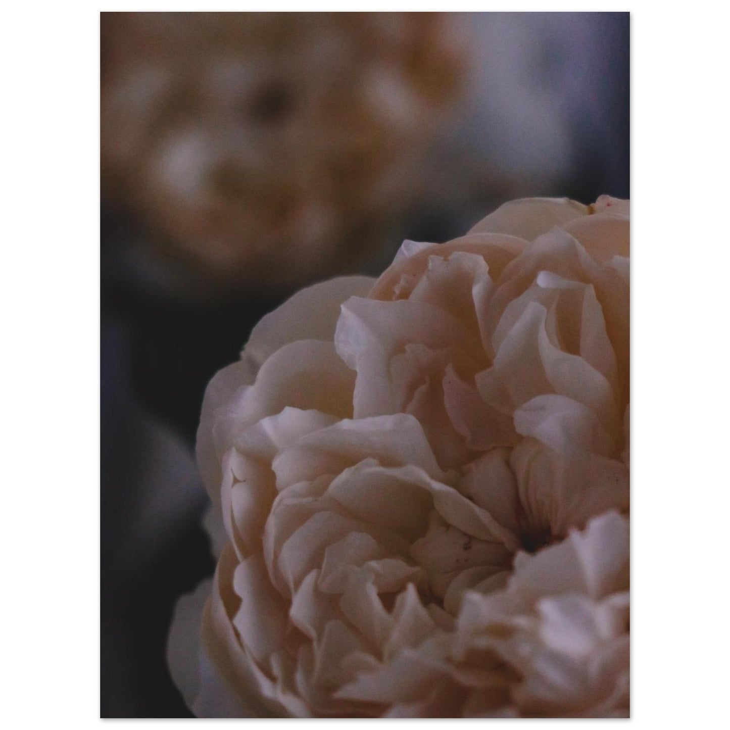 93bd7fef-aa0a-4f4c-be2d-c3deead79926