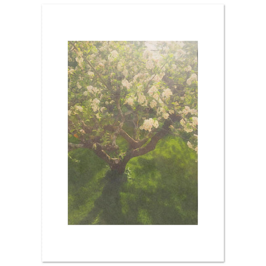 94e01386-18e0-4e5a-8489-7ba5bf25c777