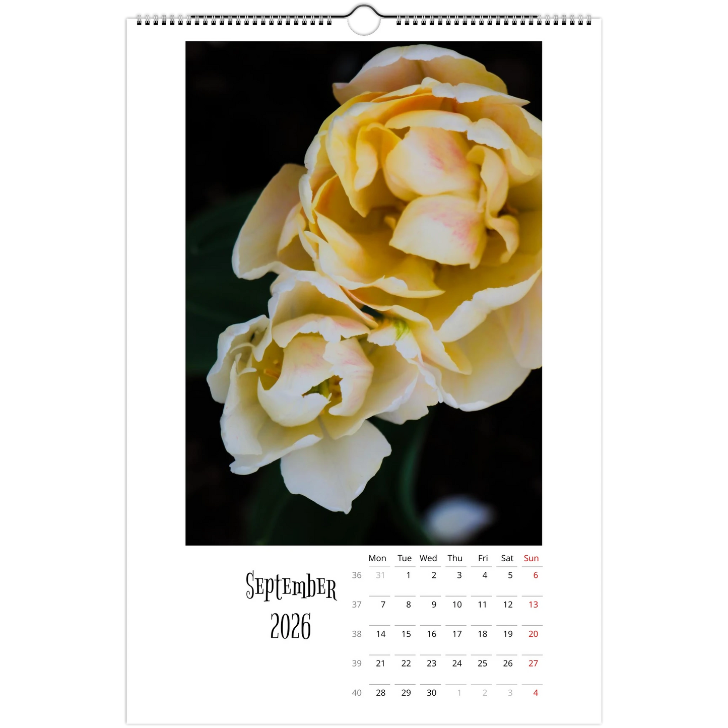 95b9d961-bd6e-4a96-ae4b-3f45e607df63