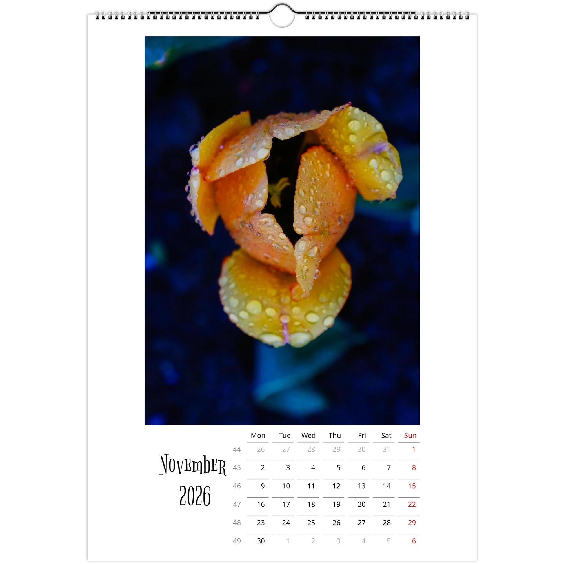 95d99fc1-5e36-4a58-bb2d-d8551c0e60f0