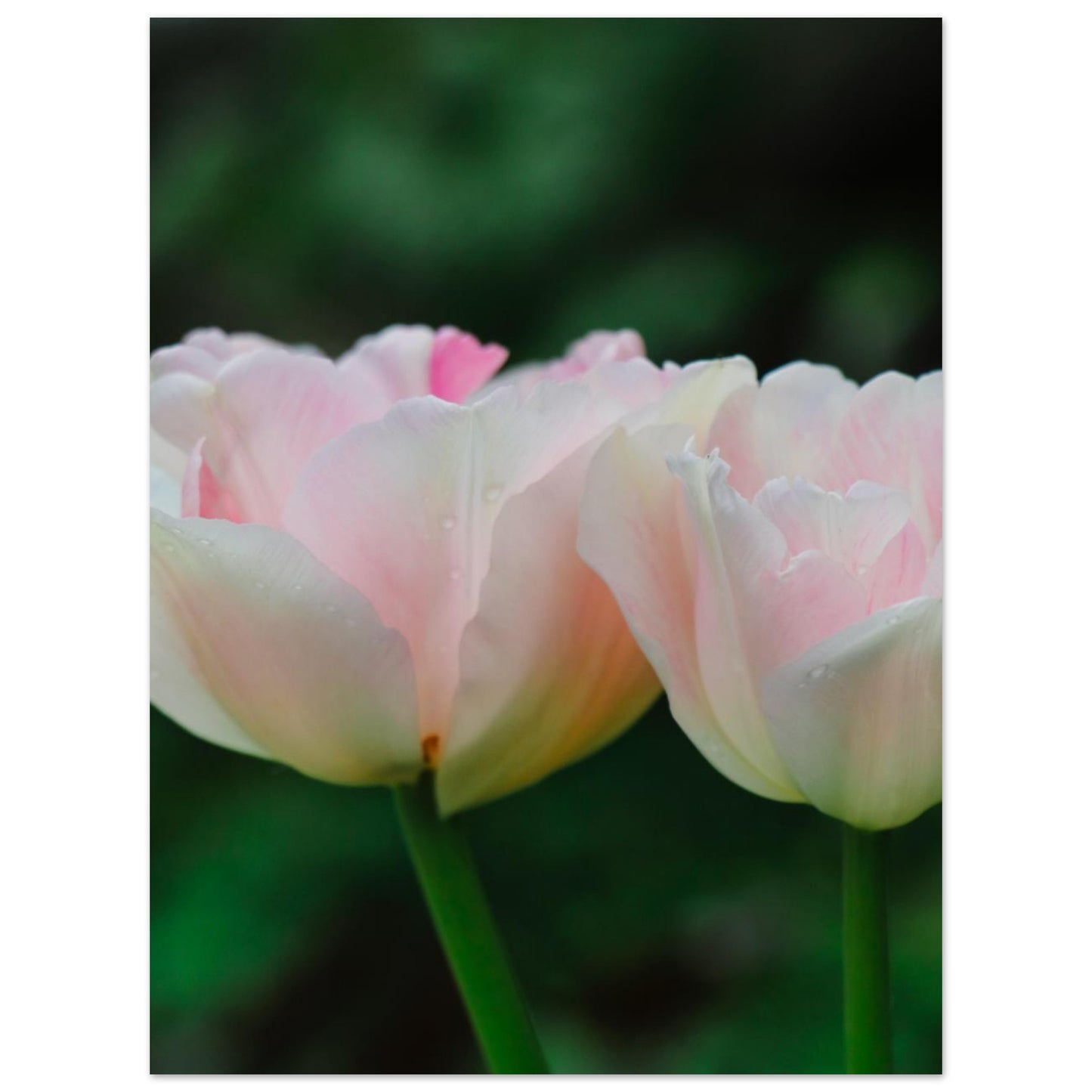 9812f2dc-43cc-4104-8b8e-e413263df1b4