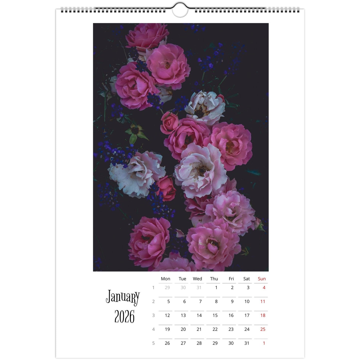 9ba1f5ab-8aea-42a2-8769-63b22f80d991