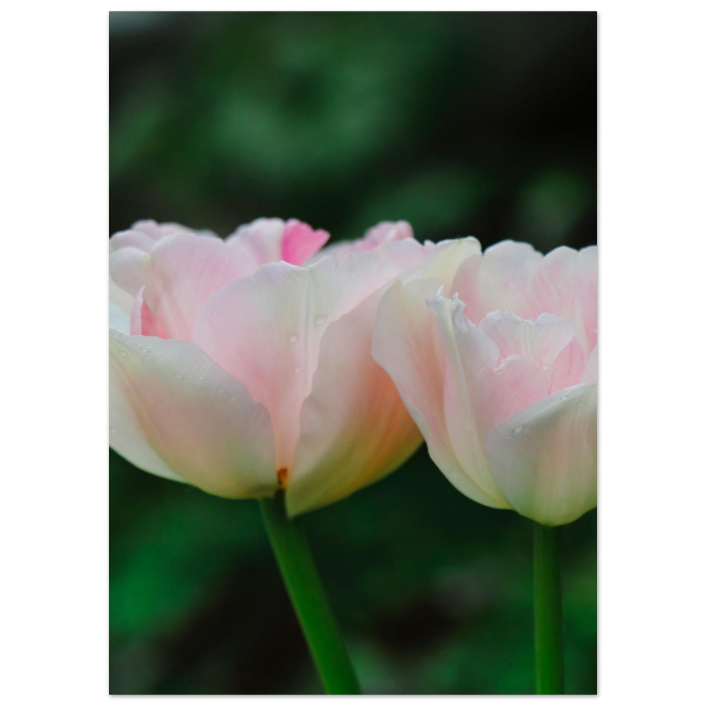 9cdd3f7d-11be-4167-805d-483f92194fed