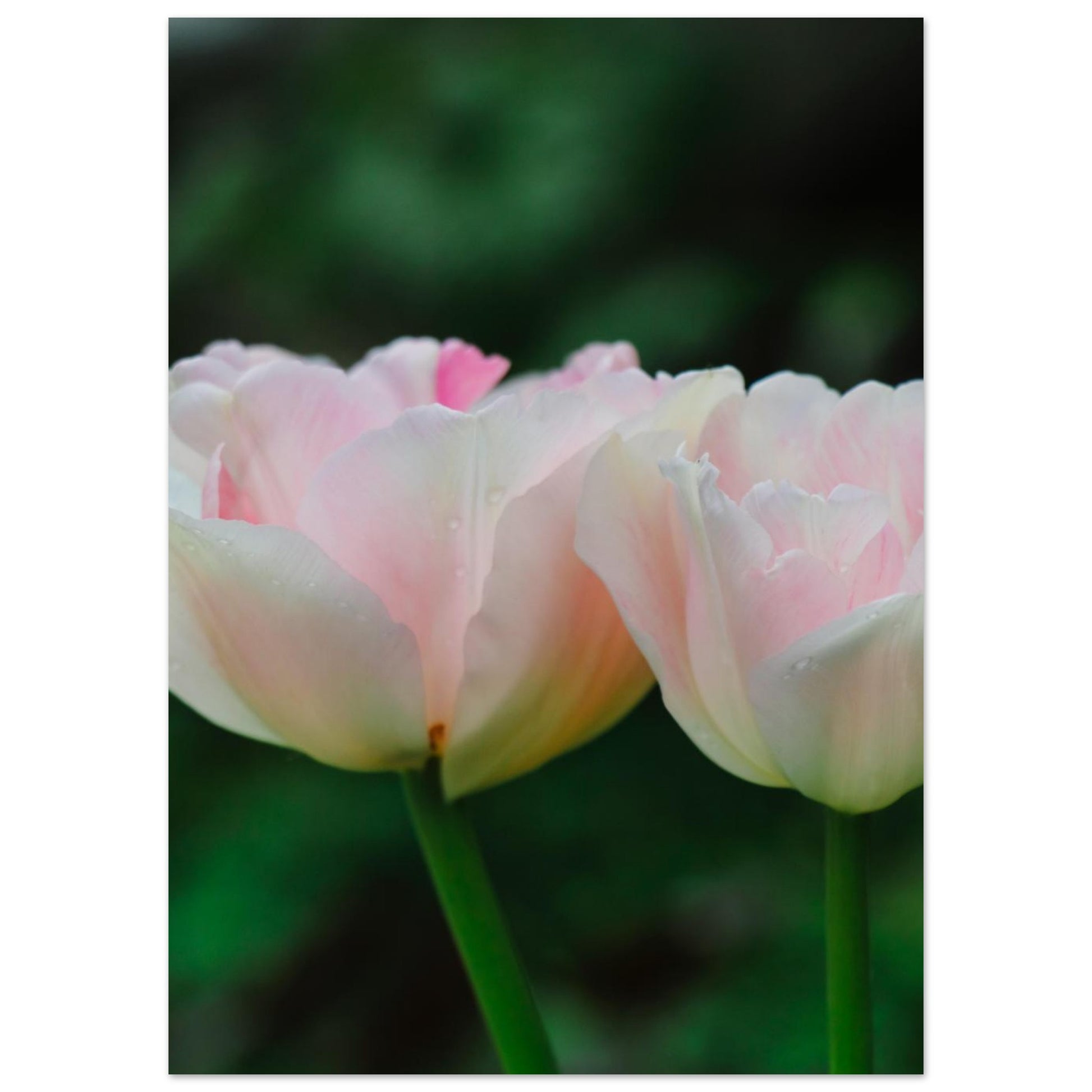 9cdd3f7d-11be-4167-805d-483f92194fed