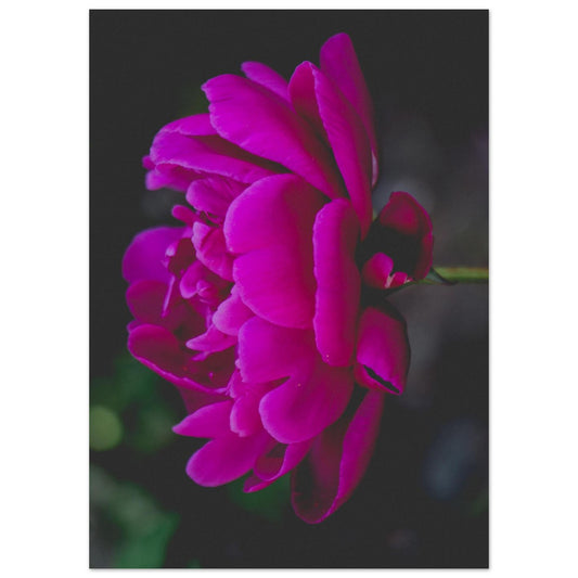 9f710654-60c2-43fe-adb5-785b351a5394