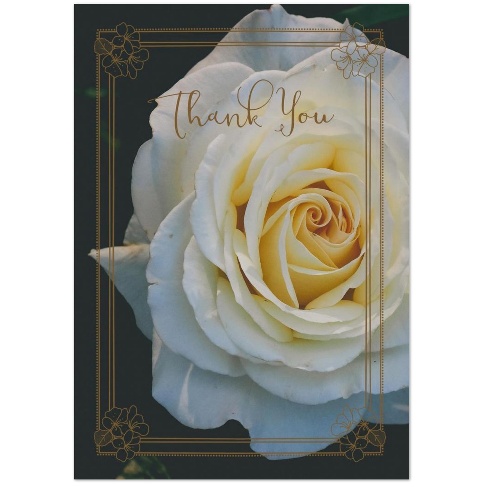 a2a63e7e-dbc1-4560-833f-071376ff2986