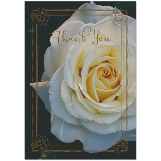 a2a63e7e-dbc1-4560-833f-071376ff2986