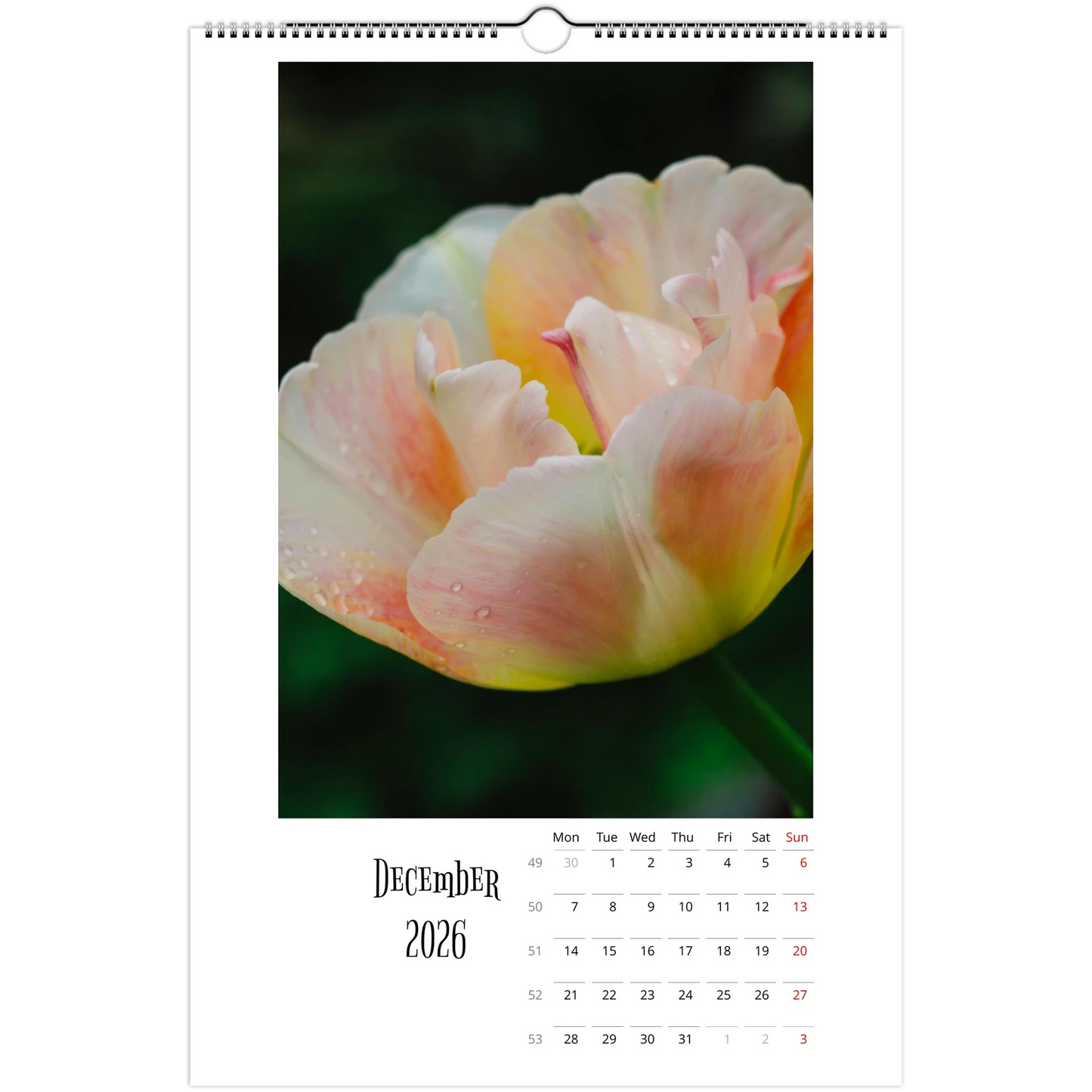 a324a04c-ac31-4f2c-bffd-acae02e71a39