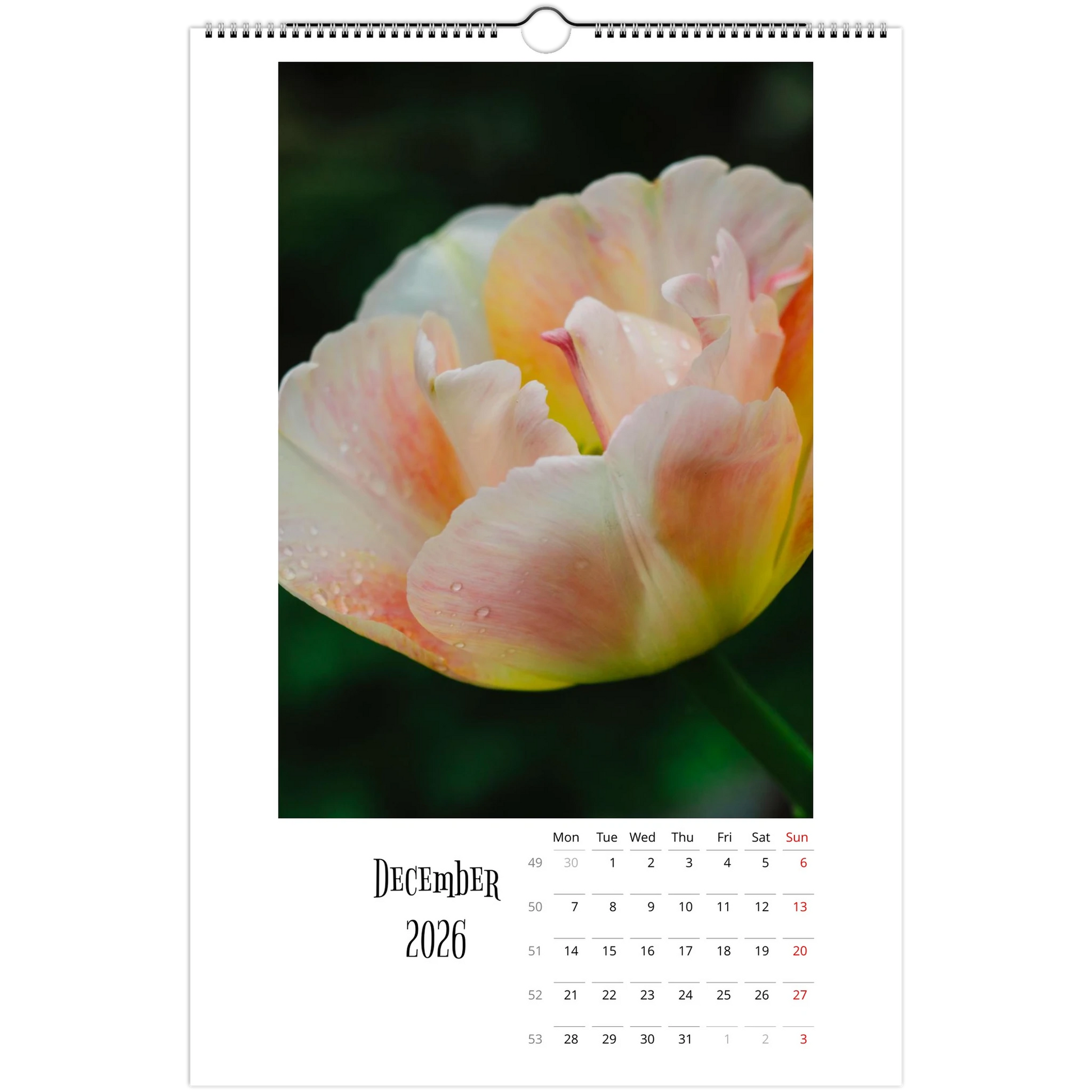 a324a04c-ac31-4f2c-bffd-acae02e71a39